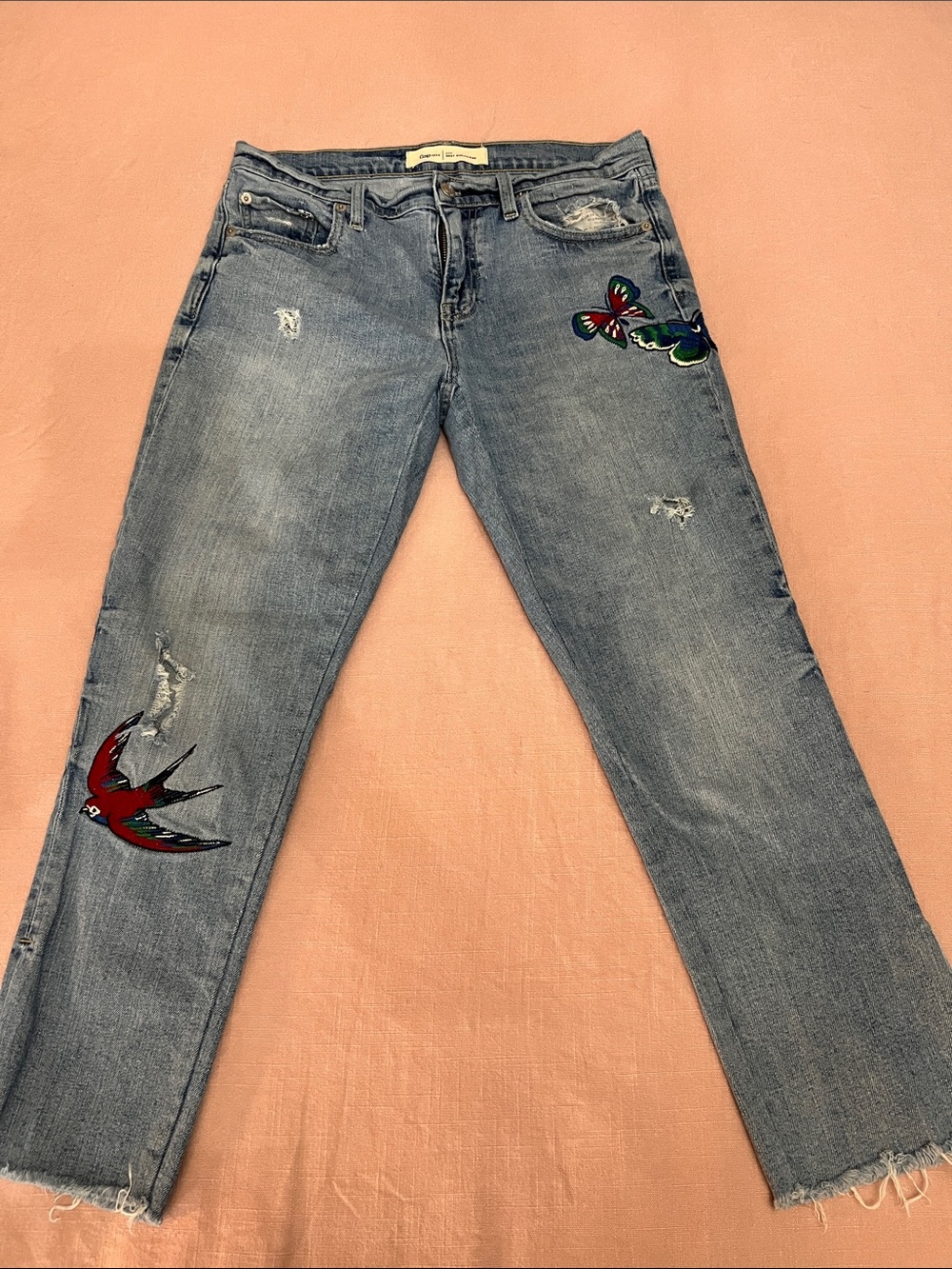 Embroidered Light Blue Straight-Leg Jeans with Bird & Butterfly Motifs